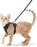 rabbitgoo Cat Harness and Leash Set, Escape Proof Vest, Black | Soft Breathable Mesh, Easy Adjustable Fit, Snap Buckles, Sturdy Clip, Reflective Strips, for Average Cats Walks, S