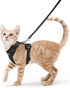 rabbitgoo Cat Harness and Leash Set, Escape Proof Vest, Black | Soft Breathable Mesh, Easy Adjustable Fit, Snap Buckles, Sturdy Clip, Reflective Strips, for Average Cats Walks, S