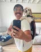 Little Chonk Maxine One Dog Backpack Carrier for Medium Dogs (Gray) | Adjustable & Ergonomic Pet Carrier, Built to be Safer, Hands Free Travel & Hiking, Front Facing, Featured in Wired Magazine