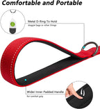 PetiFine 5FT Heavy Duty Dog Leash with Soft Padded Double Handle | Traffic Handle Extra Control,Auto Lock Hook,Reflective Nylon Walking Lead for Large,Medium,Small Breed Dogs