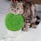 miwoowim Cat Face Scratcher Wall Corner Massage Comb, Self Grooming Brush | Catnip Feeder Toy with Catnip. Multi-purpose scratcher. Easy to install with adhesive tape. Removes loose fur
