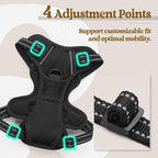 rabbitgoo Dog Harness No Pull with 2 Leash Clips, Adjustable Soft Padded, Reflective Oxford No Choke Pet Vest with Easy Control Handle for Puppy, Black, XS | No Choke with Handle, Adjustable Soft Padded, Reflective, Easy Control for Walking, Black, X-S...