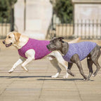 KYEESE 2 Pack Dog Shirts for Large Dogs Quick Dry Breathable Stretchy Sun Protection Pet T-Shirts with Reflective Label Tank Top Sleeveless Vest Dog Clothes, Purple+Pink, 3XL