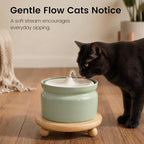 Ceramic Cat Water Fountain, 1L/32oz Automatic Pet Drinking Fountain | Quiet USB Powered Pump, Triple Filtration | BPA-Free, Easy to Clean & Dishwasher Safe | for Cats & Small Dogs