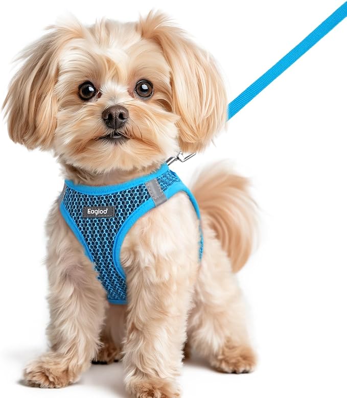 Eagloo Small Dog Harness and Leash Set, Step in Small Sized Puppy Pet Vest | Light, Soft, Breathable Air Mesh, Easy on and off with Hook & Loop, Reflective for Safe Walking, Blue, XS