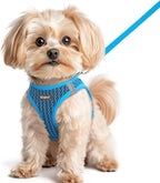 Eagloo Small Dog Harness and Leash Set, Step in Small Sized Puppy Pet Vest | Light, Soft, Breathable Air Mesh, Easy on and off with Hook & Loop, Reflective for Safe Walking, Blue, XS