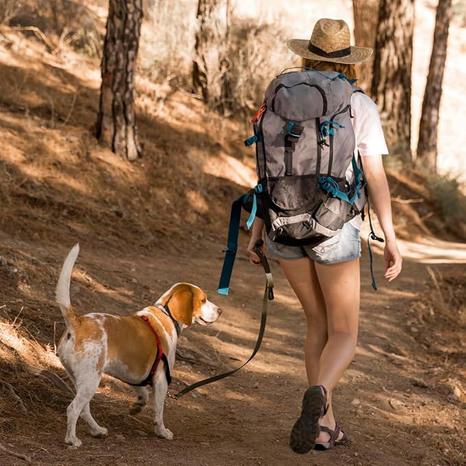 Viper Biothane K9 Working Dog Leash Waterproof Lead for Tracking Training Schutzhund Odor-Proof Long Line with Solid Brass Snap for Puppy Medium and Large Dogs 0.62 in, 10ft Coyote Brown