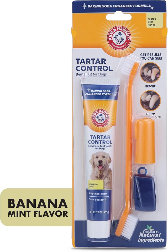 Arm & Hammer Tartar Control Dog Dental Kit, Banana Mint, 3-Piece, 2-Pack | Enzymatic toothpaste with toothbrush and fingerbrush, baking soda formula safe for puppies