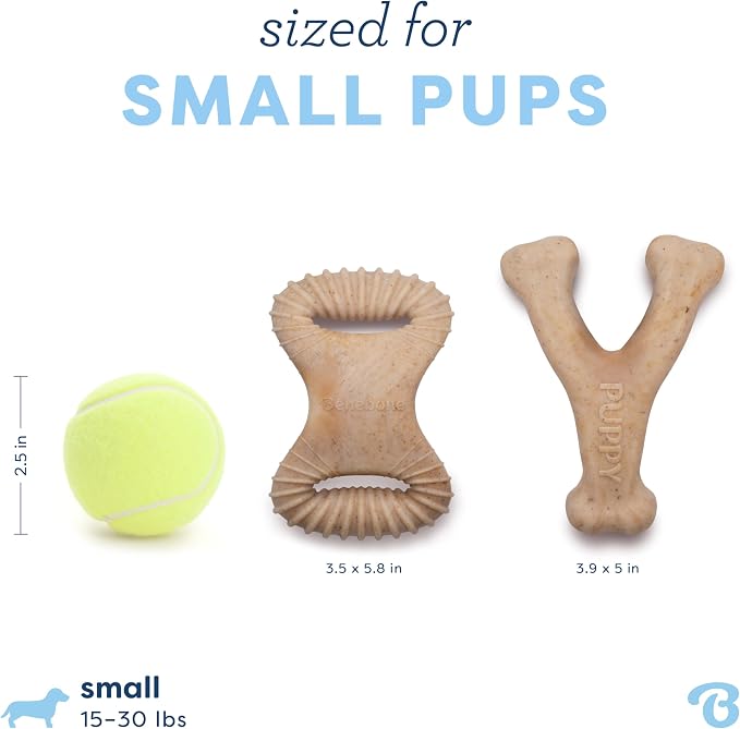 Benebone Puppy 2-Pack Dental/Wishbone Dog Chew Toys, Real Chicken, Small