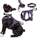 WINSEE Pet Harness Collar and Leash Set, All-in-one Reflective Dog Harness No Pull with Adjustable Buckles for Puppies, Small, Medium, Large, and Extra-Large Dogs (Medium, Purple)
