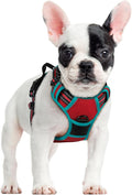 rabbitgoo Dog Harness, No Pull for Small Dogs with 2 Leash Clips, Pet Vest | No Choke with Handle, Adjustable Soft Padded, Reflective, Easy Control for Walking, Red & Teal, Small