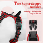 rabbitgoo Dog Harness, No Pull for Small Dogs with 2 Leash Clips, Pet Vest | No Choke with Handle, Adjustable Soft Padded, Reflective, Easy Control for Walking, Black & Red, Small