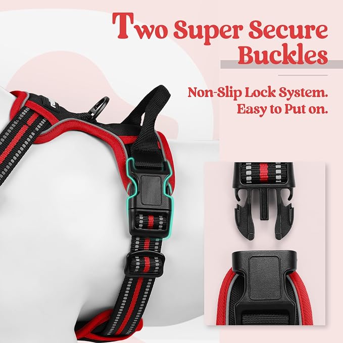 rabbitgoo Dog Harness, No Pull for Small Dogs with 2 Leash Clips, Pet Vest | No Choke with Handle, Adjustable Soft Padded, Reflective, Easy Control for Walking, Black & Red, Small