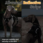 rabbitgoo Escape Proof Dog Harness for Medium, No Pull with Lift Handle | No Escape, Full Soft Padded, Reflective Adjustable Vest, Leash Clip for Walking Hiking Training, Black, Medium