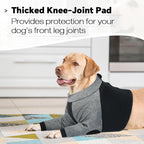 Lelepet Dog Recovery Suit for Front Legs, Dog Sleeve to Stop Licking Black | Elbow Protector for Leg Injuries Shoulder Wounds After Surgery Male Female,Zippered Long-Sleeved Shirt Cone Alternative S-3XL