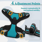 rabbitgoo Dog Harness, No Pull Medium Sized with 2 Leash Clips, Pet Vest | No Choke with Handle, Adjustable Soft Padded, Reflective, Easy Control for Walking, Teal, Medium