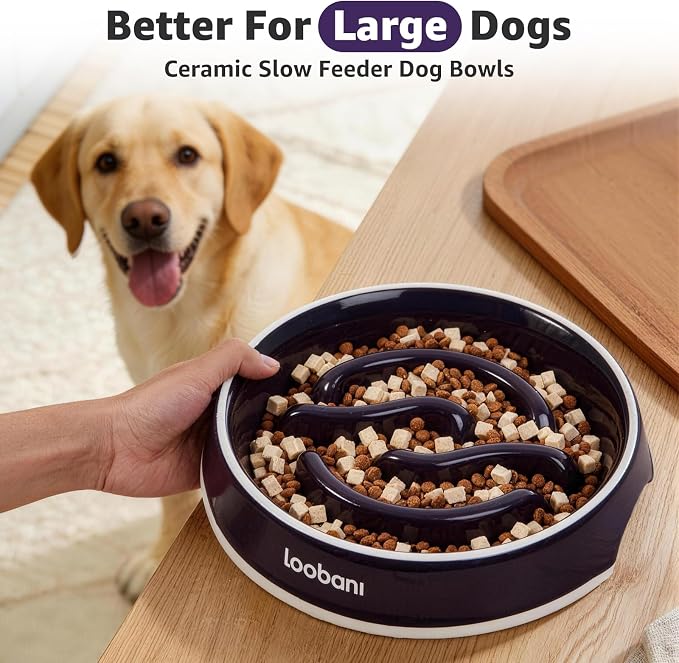 LOOBANI 3.5 Cups Ceramic Slow Feeder Dog Bowls Large Dogs with Grip Handles | Heavy Ceramic, Stay in Place, Healthier Eating, Durable & Easy-Clean, Foam-Protected, Perfect for Fast-Eating Large Breeds