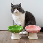 Green Mushroom Cat Bowl, Elevated Ceramic Bowl for Cats | Elevated, Ceramic, Whisker Friendly, Wide Opening, Anti Vomiting