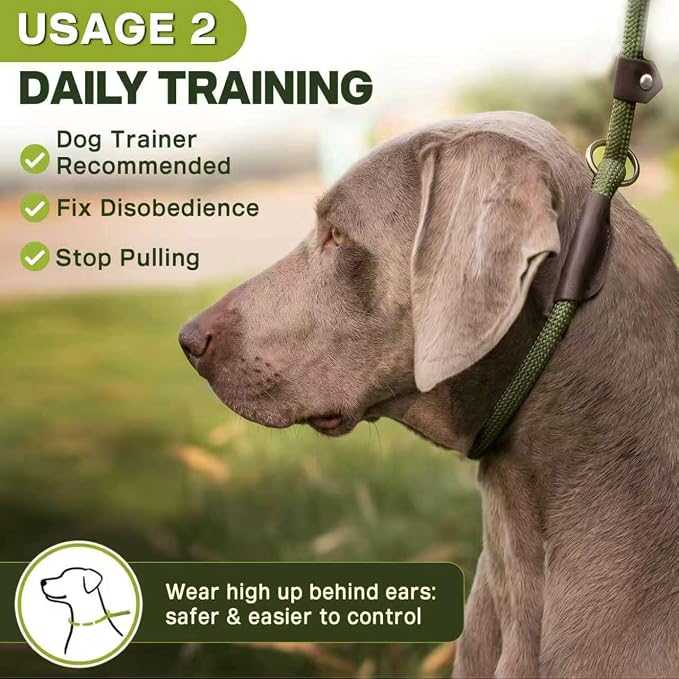 Fida Durable Slip Lead Dog Leash, 6 FT x 3/8" Heavy Duty Comfortable Strong Rope Slip Lead for Small Dogs and Puppies, No Pull Pet Training Leash with Highly Reflective(3/8", Green)