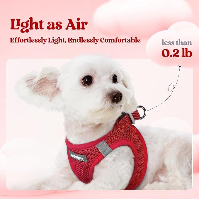 rabbitgoo Dog Harness Small Sized and Leash Set, Step-in Puppy Pet Vest | Light, Soft, Breathable Air Mesh, Easy on and Remove with Hook & Loop, Secure Reflective for Walking, Red M