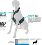 CoolerDog Dog Cooling Vest & Cooling Collar – Ice Vest for Hot Weather Heat Relief, Re-Freezable Pure Water Inserts (X-Large 34”–40” Girth)