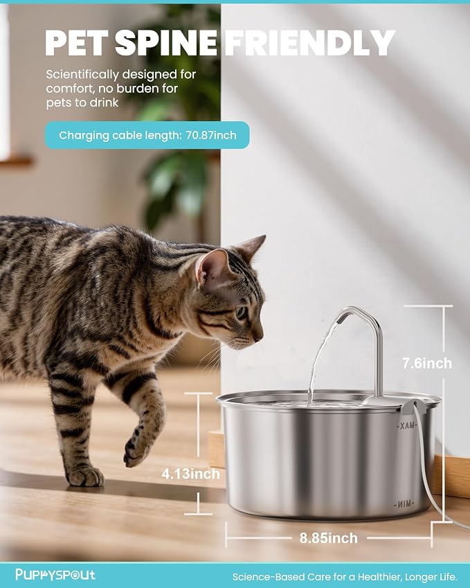 Puppyspout Stainless Steel Cat Water Fountain, Visible Window, 108 oz | Quiet operation, includes 3 filters, multi-pet drinking dispenser for indoor cats and dogs, multi-pet homes, Dishwasher Safe