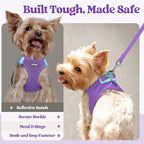 rabbitgoo Dog Harness Medium Sized and Leash Set, Step-in Puppy Pet Vest | Light, Soft, Breathable Air Mesh, Easy on and Remove with Hook & Loop, Secure Reflective for Walking, Purple L