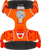 Ruffwear, Front Range Dog Harness, Reflective Soft Padded Everyday Harness with Dual Leash Clips, Adjustable and Lightweight Fit for Training or Walking for All Dogs, Blaze Orange, Large/X-Large