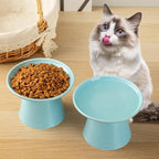 Ceramic Elevated Cat Bowls - 6.2 Inch Extra Wide Raised Cat Food and Water Bowl Set for Indoor Cats, Whisker-Friendly Ceramic Cat Dish for Elder Big Cats & Small Dogs,Blue,1 Pack