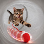 31 Pcs Interactive Cat Toys for Indoor Cats, Cat Tunnel with Moving Ball, Cat Toy Launcher, Catnip Toys, Chew Rope, Feather Wand, Springs and Balls for Indoor Kittens, Grey
