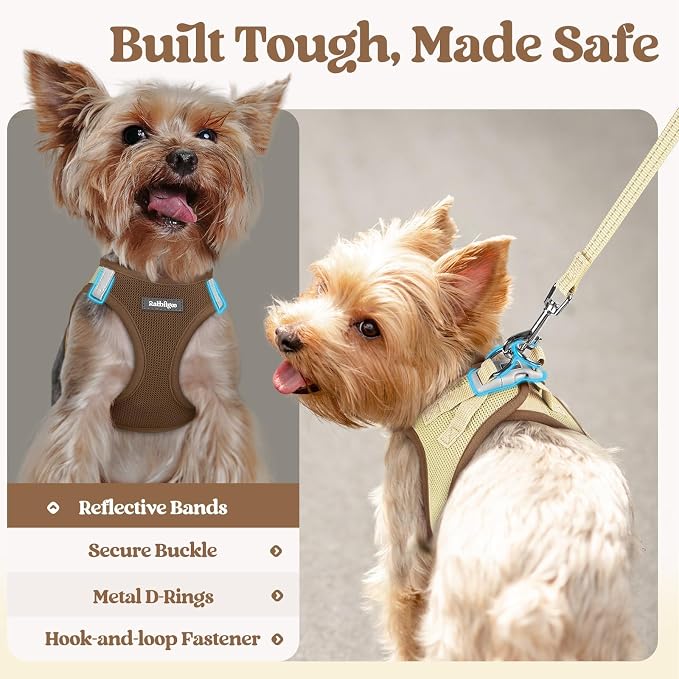 rabbitgoo Dog Harness Medium Sized and Leash Set, Step-in Puppy Pet Vest | Light, Soft, Breathable Air Mesh, Easy on and Remove with Hook & Loop, Secure Reflective for Walking, Brown & Beige L