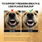 Dog Teeth Cleaning Powder - Plaque & Tartar Control, Breath Fresheners | With Natural Seaweed, Probiotics, Vitamins, Turmeric & Enzymes for All Dogs & Cats (Chicken Flavor, 75 Scoops)