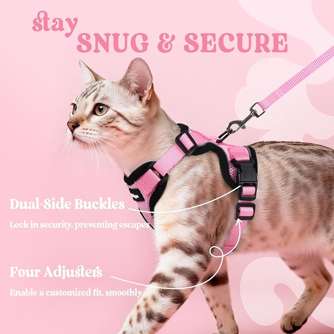 rabbitgoo Cat Harness and Leash Set, Escape Proof Vest, Pink | Soft Breathable Mesh, Easy Adjustable Fit, Snap Buckles, Sturdy Clip, Reflective Strips, for Small & Average Cats Walks, Xs