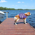 Kuoser Reflective Dog Life Jacket, Dog Life Vest for Swimming Boating | Adjustable Pet Lifejackets, High Flotation Doggie Swimsuit with Rescue Handle for Small Medium Large Dogs