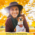 60 Pcs Fall Plaid Dog Collar Flowers Bulk Thanksgiving Pet Flower Collar Bow Ties Holiday Accessories Charms Slide Attachment for Small Medium Large Dog Cat Puppy Bow Grooming Supplies