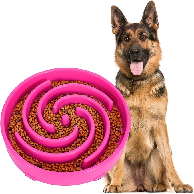 JASGOOD Slow Feeder Dog Bowl for Large Medium Dogs, Anti-Gulping Pet Slower Food Feeding Bowls, Stop Bloat, Preventing Choking, Healthy Design, R-Rose red