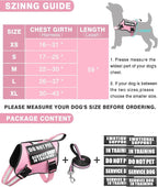 Small Service Dog Vest Harness and Leash Set+10 Patches Pink XS | Adjustable Reflective Do Not Pet Emotional Support Dog Vest with 2 Soft Padded Handle,MOLLE,for Everyday Training Hiking