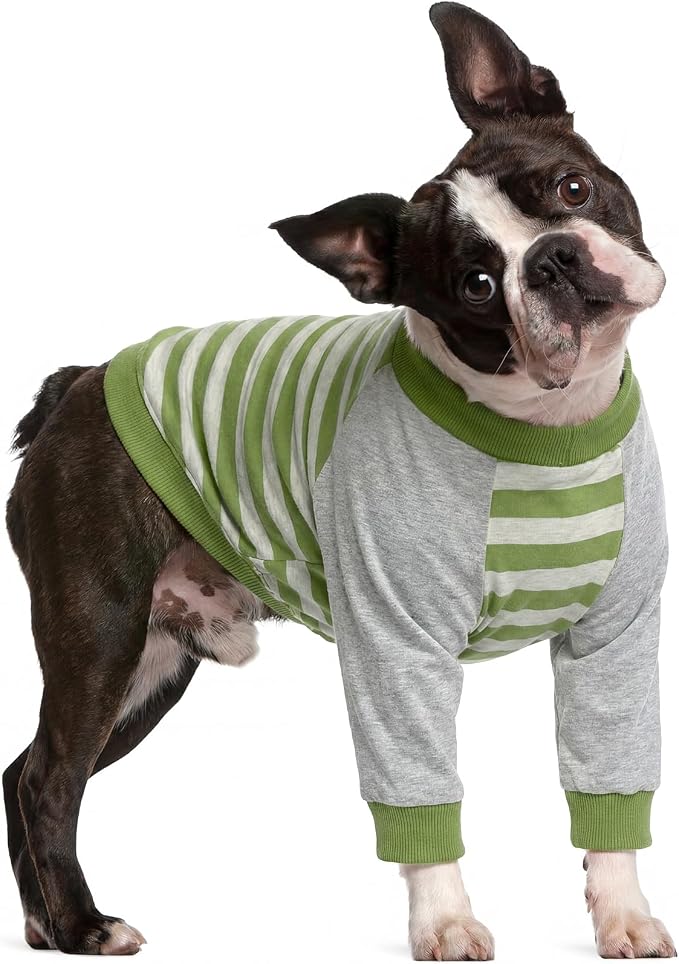 FUAMEY Dog Recovery Sleeve with Elbow Protector, Green Stripes, S | Dogs Shirt Stop Licking Joints, Long Sleeve Suit, Protect Front Leg Arm Wounds, Cover Skin Conditions,Alternative to E-Collar