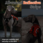 rabbitgoo Escape Proof Dog Harness for Large, No Pull with Lift Handle | No Escape, Full Soft Padded, Reflective Adjustable Vest, Leash Clip for Walking Hiking Training, Orange, Large