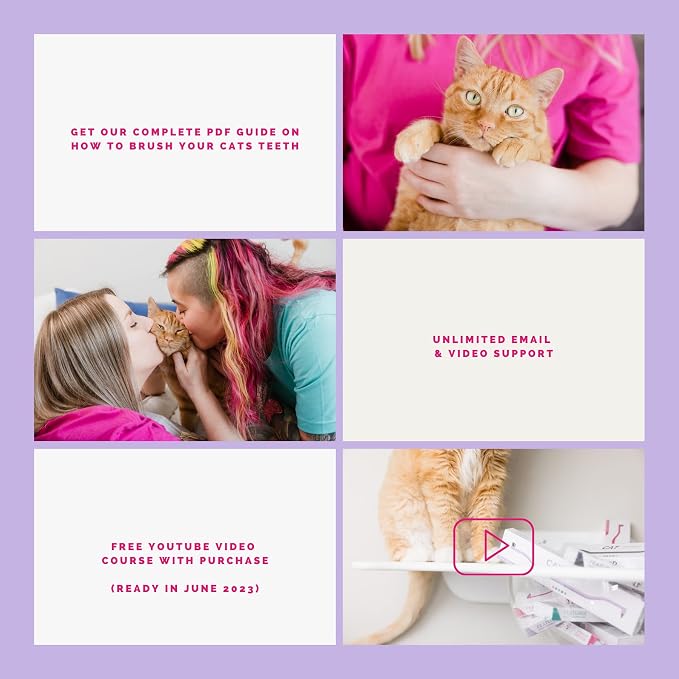 Flamingo Dual Sided Cat Toothbrush - Micro Head ToothBrush to fit into Cat's Mouth - Cat Dental Supplies | Cat toothbrush made from cornstarch plastic with micro head, soft bristles, and molar pick for cats and kittens