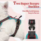 rabbitgoo Dog Harness, No Pull for Small Dogs with 2 Leash Clips, Pet Vest | No Choke with Handle, Adjustable Soft Padded, Reflective, Easy Control for Walking, Red & Teal, X-Small