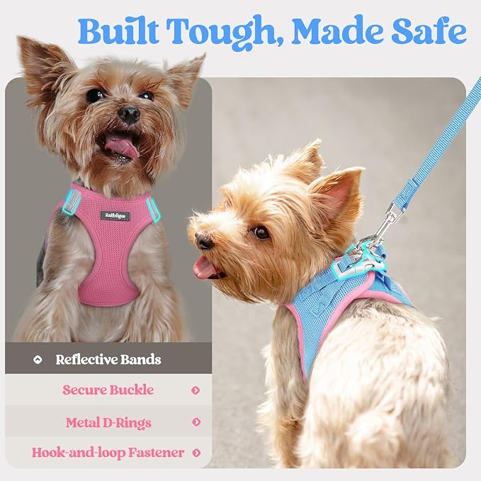 rabbitgoo Dog Harness Small Sized and Leash Set, Step-in Puppy Pet Vest | Light, Soft, Breathable Air Mesh, Easy on and Remove with Hook & Loop, Secure Reflective for Walking, Blue & Light Pink M