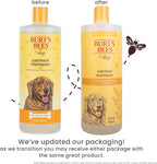 Burt’s Bees for Pets Oatmeal Dog Shampoo with Honey, Soothing Dog Shampoo for Itchy and Sensitive Skin, pH Balanced Formula That Gently Cleans and Moisturizes Dog Coats, 32 Fl Oz