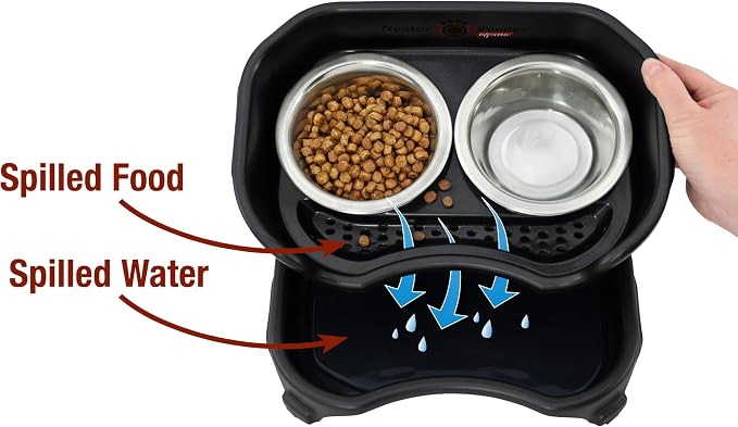Neater Feeder Express Mess Proof Dog Bowls Elevated for Small Breeds Under 15 Lb, Made in USA, No Spill Raised Dog Food Bowl Stand, Stainless Steel Food and Water Bowl Set, Feeding Station, Black