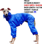 D Doggy Star Italian Greyhound Raincoat Waterproof Jacket Windbreaker Clothes Whippet for Dog (XL,Raincoat Blue)