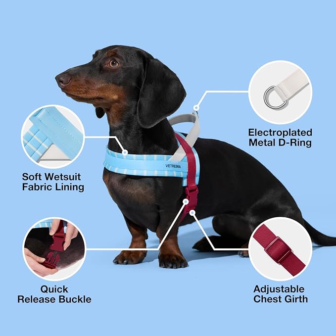 VETRESKA Dog Harness Small Sized Dog, Adjustable No Choke Puppy Harness XS | No Pull, Easy Control Pet Harness Vest for Dogs, Cat, Kitten, Dog Harness with Anti-Tangle Dog Leash Set (Misty Melo)