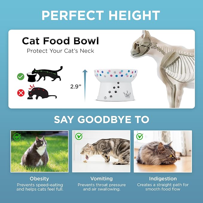 Necoichi Ceramic Raised Cat Food Bowl, 15° Tilted (Colorful Dots, Regular)