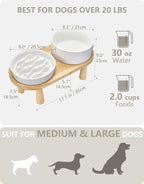 Ceramic Slow Feeder and Water Bowl Set for Medium and Large Dogs, 2.0 Cups Dog Slow Feeder(30oz) and 70oz Water Bowl Set, 8in, White