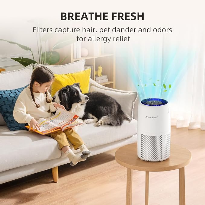 AromaRoom Air Purifiers, Quiet Air Cleaner For Pets, Baby Room,Home | AromaRoom H13 HEPA Air Filter For Smoke Pollen Dander Hair Smell Air Cleaner, 3-in-1 Filter with Sleep Mode