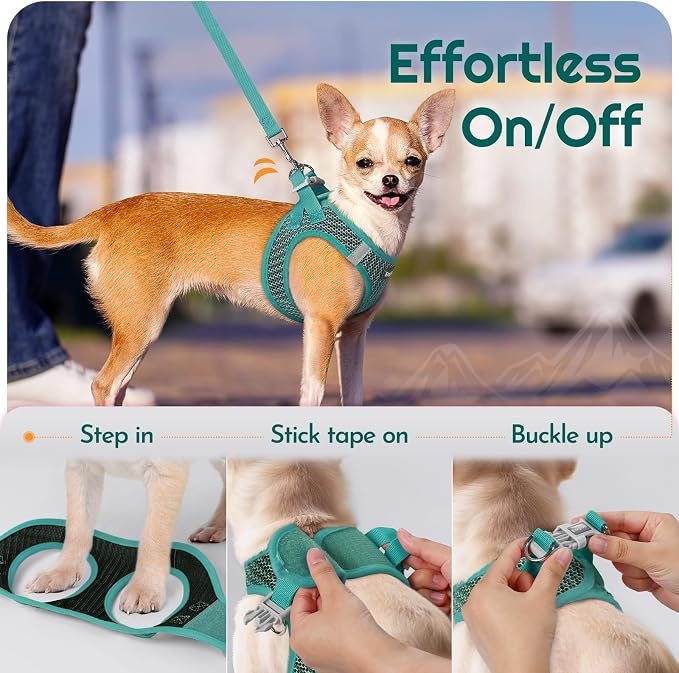 Eagloo Small Dog Harness and Leash Set, Step in Small Sized Puppy Pet Vest | Light, Soft, Breathable Air Mesh, Easy on and off with Hook & Loop, Reflective for Safe Walking, Forest Green, XS